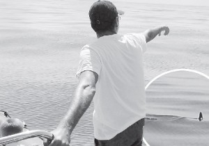 Os tripulantes dos barcos de observação de golfinhos avistaram as barbatanas dos tubarões