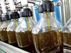 Azeite analisado não ameaça saúde do consumidor