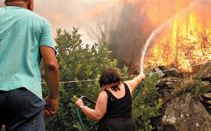 Em Marco de Canaveses usaram mangueiras para molhar o mato junto às casas