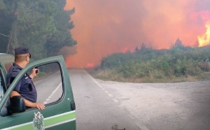 Desde o início do ano foram detidos 35 suspeitos de fogo posto. Caso inédito aconteceu na aldeia de Garrucha, Tondela, com um filho a denunciar o pai