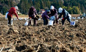 Fukushima dois anos depois do terramoto