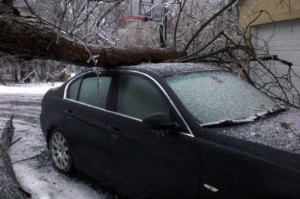 Uma árvore derrubada sobre um automóvel, em consequência da tempestade de gelo que afetou a área de Ajax, Ontário. 680NEWS/Anne Lavrih