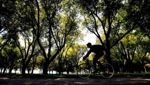 Um homem pedala ao longo da Lakeshore durante um dia de tempo quente em Toronto - 19 de agosto de 2015. (Nathan Denette / The Canadian Press)
