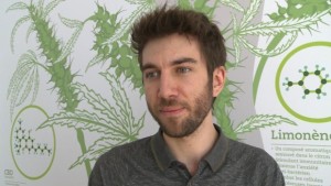 Adam Greenblatt, cofundador da clínica médica de marijuana Santé Cannabis, diz que algumas das receitas fiscais da marijuana poderiam ir para campanhas de consciencialização. (Jaela Bernstien/CBC)