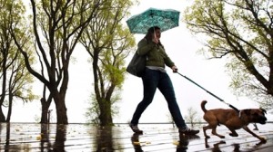 Uma mulher protege-se da chuva sob um guarda-chuva enquanto passeia o seu cachorro ao longo da costa do lago de Toronto nesta foto de arquivo. (Darren Calabrese / The Canadian Press)
