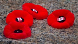 (The Canadian Press/Darryl Dyck)