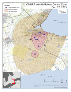 O mapa (baiting) com os primeiros dez casos de raiva descobertos em Hamilton. Os casos de terça-feira foram encontrados em Ancaster e Glanbrook. (Ministério de Recursos Naturais e Silvicultura)