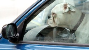 (Associated Press – Foto de arquivo)