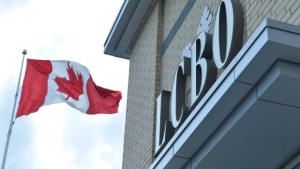 (The Canadian Press/Doug Ives)