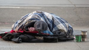 (David Donnelly/CBC)