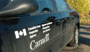 Um veículo da Agência Canadiana de Inspeção Alimentar é mostrado nesta foto de arquivo. (The Canadian Press/Don MacKinnon)