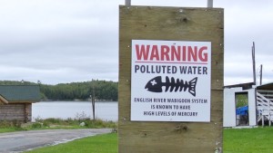 (Jody Porter/CBC)