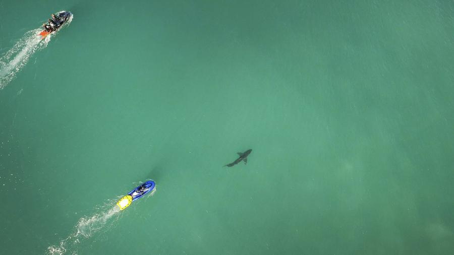 Lusa