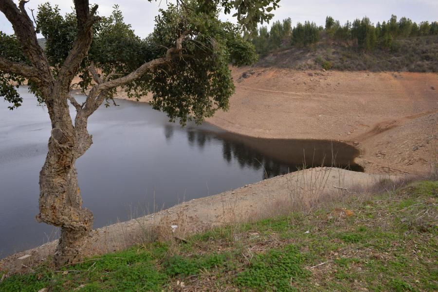 Lusa