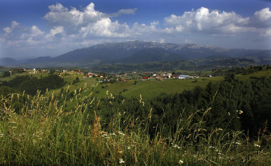 Lusa