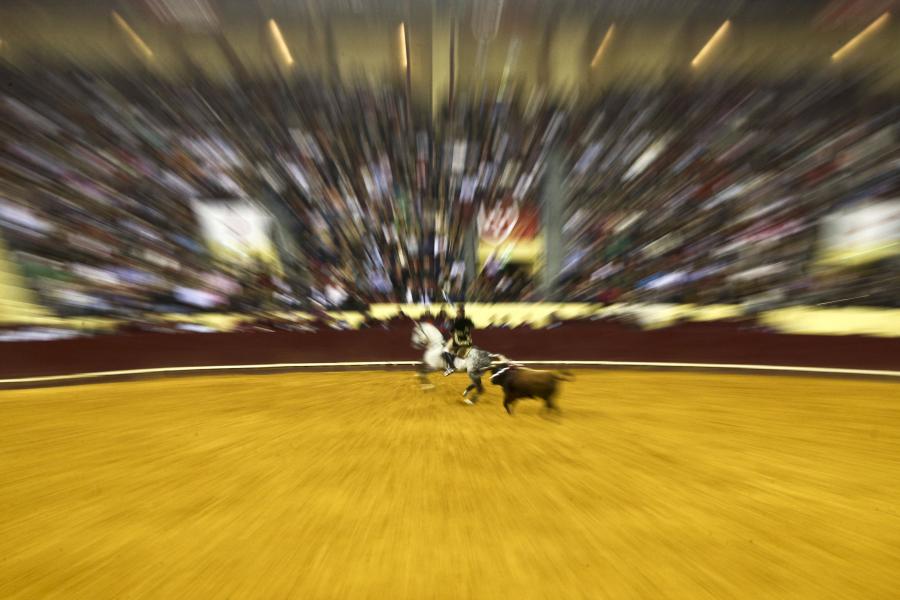 Lusa