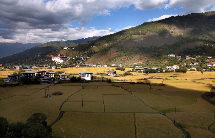 Lusa