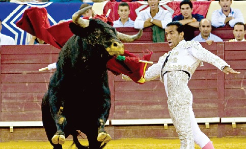 Ao longo da carreira, José Luís Gonçalves pisou arenas em França, Espanha, México, Peru, Venezuela e Estados Unidos. O reconhecimento foi maior fora de Portugal do que cá dentro, como sempre afirmou o próprio. Ao longo da carreira, José Luís Gonçalves pisou arenas em França, Espanha, México, Peru, Venezuela e Estados Unidos. O reconhecimento foi maior fora de Portugal do que cá dentro, como sempre afirmou o próprio.
