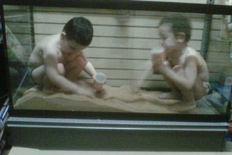 Mãe partilhou no Facebook imagens dos filhos dentro do reptilário