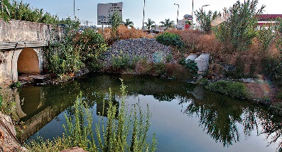 A ribeira das Lavadeiras, à saída da cidade de Faro, foi alvo de descargas diretamente do hospital