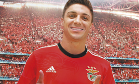 siqueira siqueira