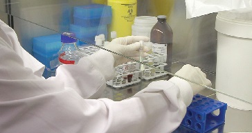 Cerca de 90% das solicitações que chegam ao Instituto Nacional de Medicina Legal dizem respeito a processos judiciais. Os outros 10% são referentes a pedidos Particulares (Foto de Pedro Catarino)
