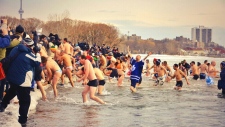 Centenas de pessoas tomaram um mergulho gelado no lago Ontário, durante a tradição anual Polar Bear Dip, na Sunnyside Beach, em Toronto. (@ halley_hb / Twitter)