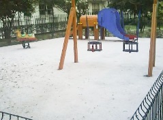 Foto da nossa leitora Sandra Silveira