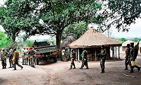 Forças governamentais em patrulha numa zona da Gorongosa. (Maria Celeste Mac’Arthur/AFP)