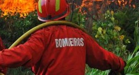 7 SETE BOMBEIROS DISTINGUIDOS PELO GOVERNO A TÍTULO PÓSTUMO