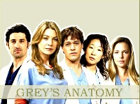 anatomia