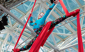 O Toronto International Circus Festival tem lugar no Harbourfront Festival, em Toronto, de 17 a 19 de maio, 2014. (FACEBOOK)