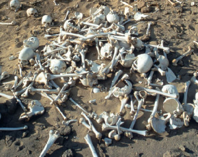 ENCONTRADOS 800 ESQUELETOS DE RECÉM-NASCIDOS PERTO DE CONVENTO IRLANDÊS