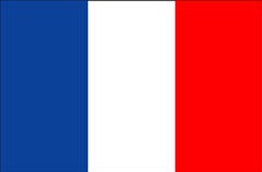 RIBERY E GRENIER FORA DA SELEÇÃO FRANCESA POR LESÃO