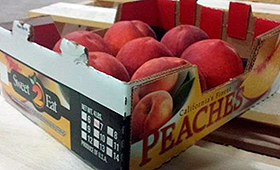 Uma caixa de pêssegos da marca Sweet 2 Eat é mostrada nesta Foto: (Canadian Food Inspection Agency)