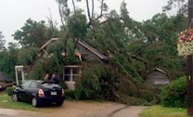 Várias árvores caem em torno de uma casa em Grand Bend, Ontário - 28 de julho de 2014. (Foto cedida por Kristylee Varley)
