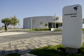 INVESTIGADORES DESCOBREM QUE LIBERTAÇÃO DE SEROTONINA REDUZ SENSIBILIDADE À DOR