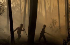 FOGO EM ÓBIDOS COMBATIDO MAIS DE 100 BOMBEIROS