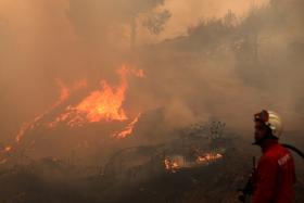 TRABALHOS DE LIMPEZA FLORESTAL NA ORIGEM DO INCÊNDIO DE MOGADOURO – GNR