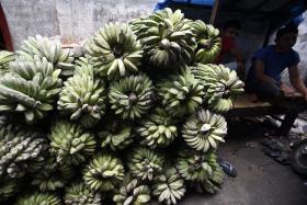NOVA FÁBRICA ANGOLANA VAI TRATAR 800 QUILOS DE BANANAS POR HORA