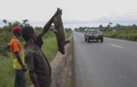 ÉBOLA: FECHO DAS FRONTEIRAS PODE PRESSIONAR VIAS SEM CONTROLO NA GUINÉ-BISSAU – ANTROPÓLOGO