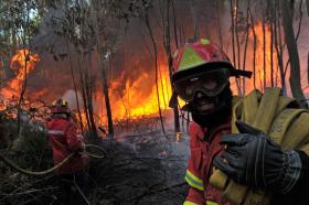 INCÊNDIO EM CARREGAL DO SAL MOBILIZA 287 OPERACIONAIS APOIADOS POR 80 VEÍCULOS