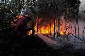 DOMINADO INCÊNDIO EM CARREGAL DO SAL NO DISTRITO DE VISEU