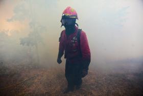CINCO FOGOS FLORESTAIS ATIVOS, PAMPILHOSA DA SERRA CONCENTRA MAIS MEIOS