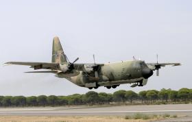 7481334.jpg