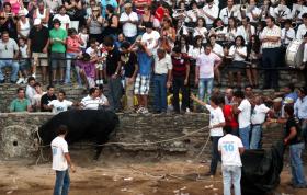 INSPEÇÃO-GERAL DAS ATIVIDADES CULTURAIS AUTORIZA TOUROS DE MORTE EM MONSARAZ – MUNICÍPIO