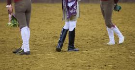 CÂMARA DE VIANA MARCA PARA HOJE VISTORIA À ARENA PARA A TOURADA DE DOMINGO