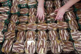 EXPORTAÇÕES DE CONSERVAS DE PEIXE IGUALAM EM 2013 MÁXIMO DE 1923