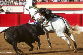 MOVIMENTO DE AFICIONADOS QUER COMPRAR PRAÇA DE TOUROS DE VIANA