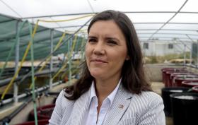 EMBARGO DA RÚSSIA PODE TER UM IMPACTO DIRETO DE ATÉ 15 ME EM PORTUGAL